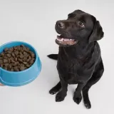 Imagen de cupón: Alimentos para el mes