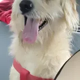 Imagen de campaña: ¡Ayúdanos a seguir haciendo la diferencia! Imagen de campaña: ¡Ayúdanos a seguir haciendo la diferencia!