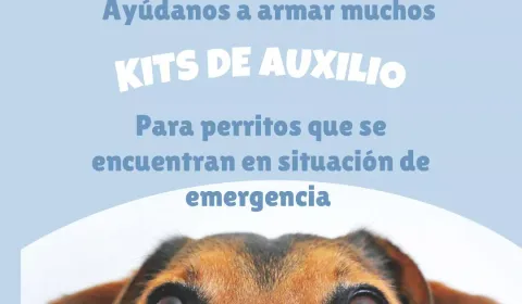 Ayúdanos a armar y repartir más kits de auxilio