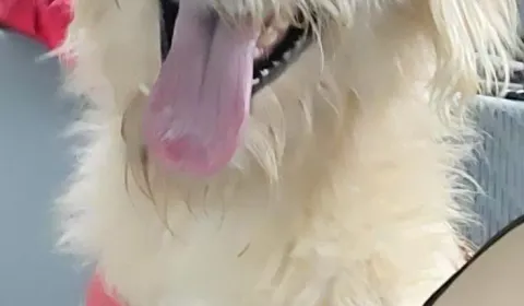 ¡Ayúdanos a seguir haciendo la diferencia! ¡Ayúdanos a seguir haciendo la diferencia!