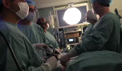 Proyecto Tele-Ultrasonografía ASSE Uruguay