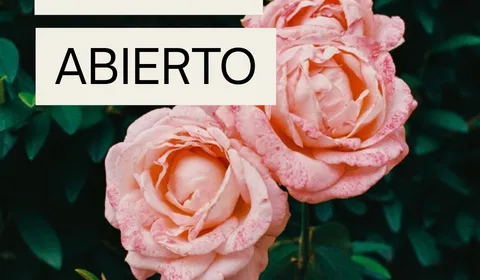 Acceso Abierto Acceso Abierto