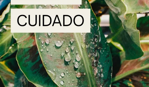 Aporte Cuidado Aporte Cuidado