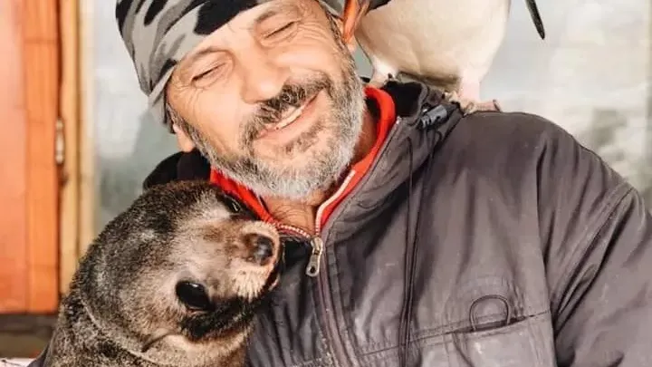 La impactante realidad de los animales marinos y cómo podemos ayudar