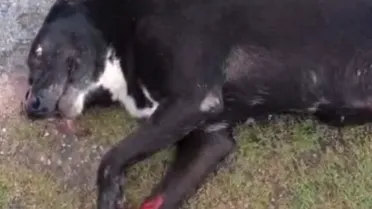 Creer y crear: transformando vidas a través de la acción colectiva