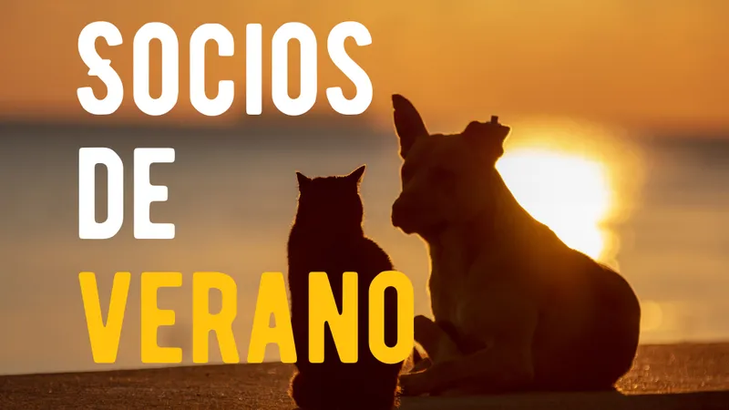 Hacete Socio de verano y dales un respiro del sol