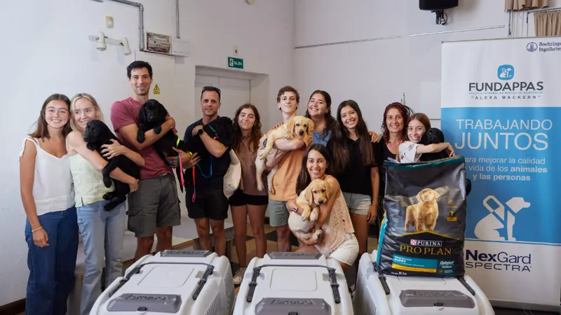 ¿Cómo contribuir efectivamente a causas sociales y organizaciones benéficas?